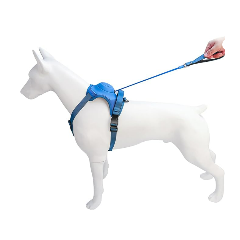 Arnés Perro Con Correa Retráctil Colores